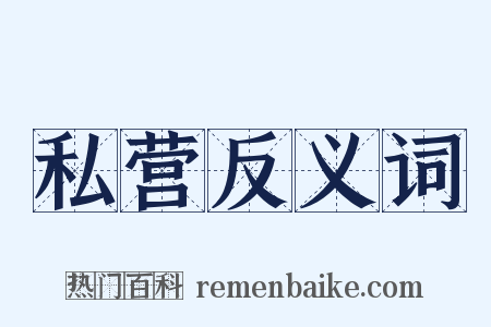 私营反义词是什么意思的图片